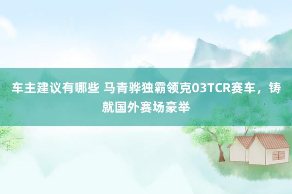 车主建议有哪些 马青骅独霸领克03TCR赛车，铸就国外赛场豪举