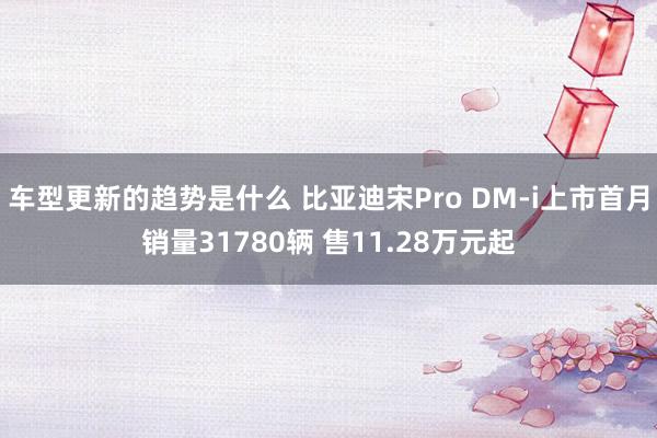 车型更新的趋势是什么 比亚迪宋Pro DM-i上市首月销量31780辆 售11.28万元起