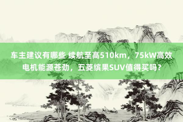 车主建议有哪些 续航至高510km，75kW高效电机能源苍劲，五菱缤果SUV值得买吗？