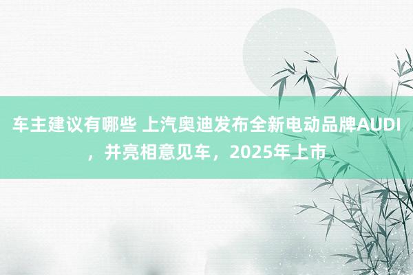 车主建议有哪些 上汽奥迪发布全新电动品牌AUDI，并亮相意见车，2025年上市