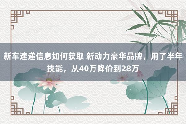 新车速递信息如何获取 新动力豪华品牌，用了半年技能，从40万降价到28万