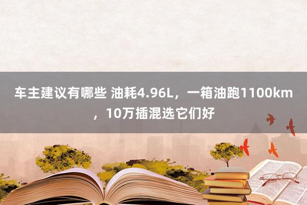 车主建议有哪些 油耗4.96L，一箱油跑1100km，10万插混选它们好