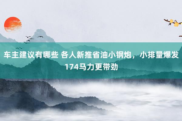 车主建议有哪些 各人新推省油小钢炮，小排量爆发174马力更带劲