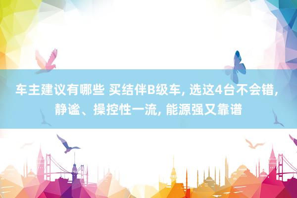 车主建议有哪些 买结伴B级车, 选这4台不会错, 静谧、操控性一流, 能源强又靠谱