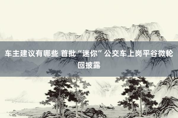 车主建议有哪些 首批“迷你”公交车上岗平谷微轮回披露