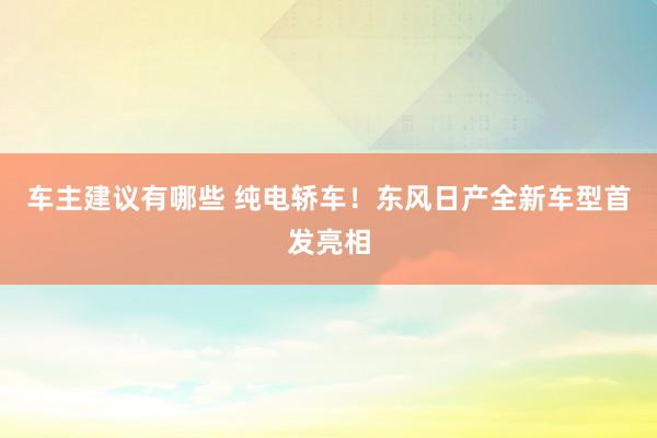 车主建议有哪些 纯电轿车！东风日产全新车型首发亮相