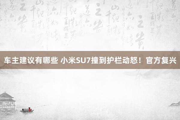 车主建议有哪些 小米SU7撞到护栏动怒！官方复兴