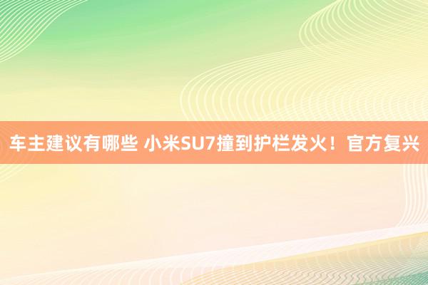 车主建议有哪些 小米SU7撞到护栏发火！官方复兴