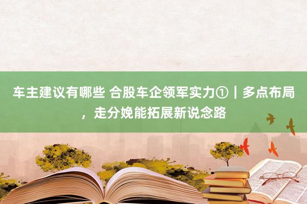 车主建议有哪些 合股车企领军实力①｜多点布局，走分娩能拓展新说念路