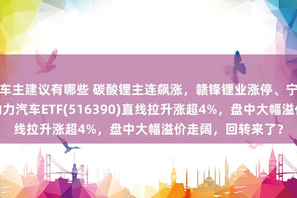 车主建议有哪些 碳酸锂主连飙涨，赣锋锂业涨停、宁德期间涨3%，新动力汽车ETF(516390)直线拉升涨超4%，盘中大幅溢价走阔，回转来了？