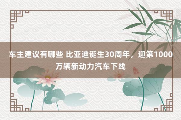 车主建议有哪些 比亚迪诞生30周年，迎第1000万辆新动力汽车下线