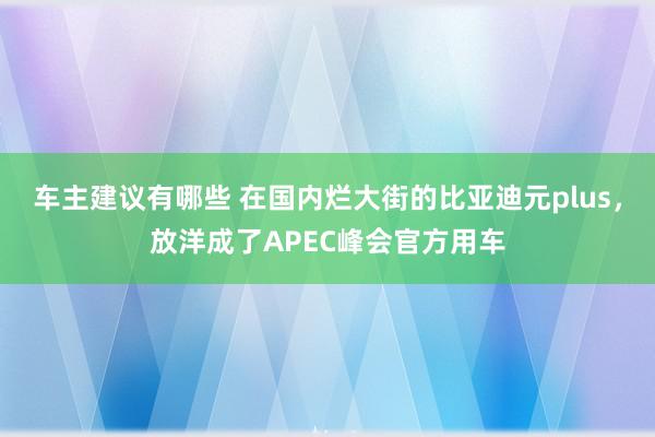 车主建议有哪些 在国内烂大街的比亚迪元plus，放洋成了APEC峰会官方用车