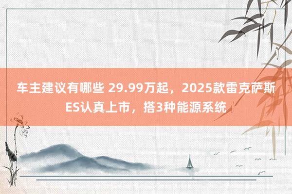 车主建议有哪些 29.99万起，2025款雷克萨斯ES认真上市，搭3种能源系统