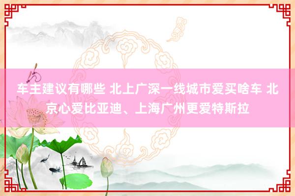 车主建议有哪些 北上广深一线城市爱买啥车 北京心爱比亚迪、上海广州更爱特斯拉