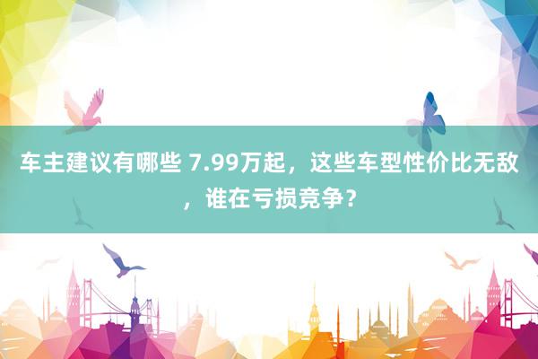 车主建议有哪些 7.99万起，这些车型性价比无敌，谁在亏损竞争？