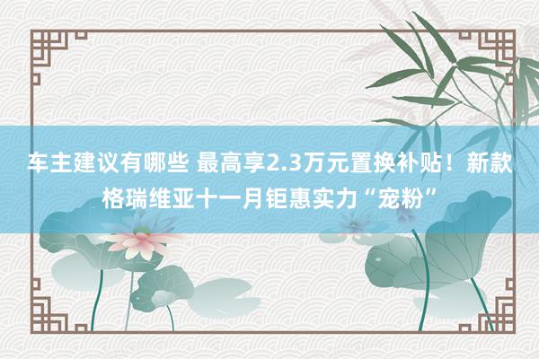 车主建议有哪些 最高享2.3万元置换补贴！新款格瑞维亚十一月钜惠实力“宠粉”