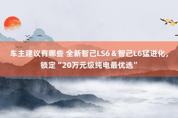 车主建议有哪些 全新智己LS6＆智己L6猛进化，锁定“20万元级纯电最优选”