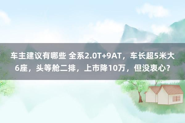 车主建议有哪些 全系2.0T+9AT，车长超5米大6座，头等舱二排，上市降10万，但没衷心？