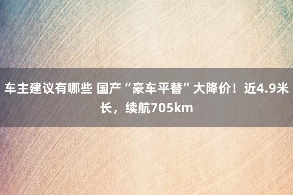 车主建议有哪些 国产“豪车平替”大降价！近4.9米长，续航705km