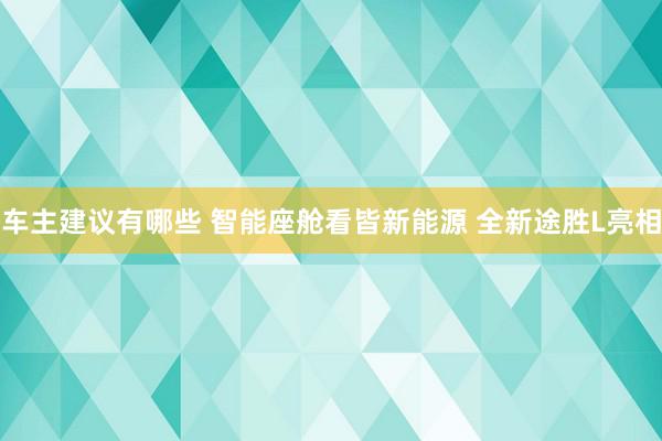 车主建议有哪些 智能座舱看皆新能源 全新途胜L亮相