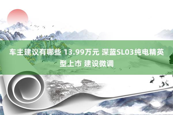 车主建议有哪些 13.99万元 深蓝SL03纯电精英型上市 建设微调