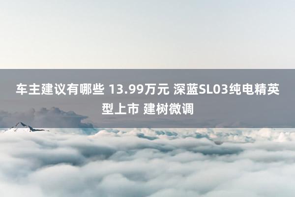 车主建议有哪些 13.99万元 深蓝SL03纯电精英型上市 建树微调