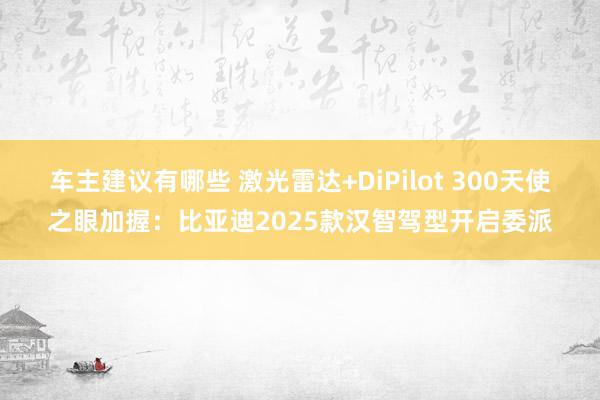 车主建议有哪些 激光雷达+DiPilot 300天使之眼加握：比亚迪2025款汉智驾型开启委派