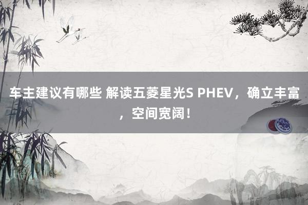 车主建议有哪些 解读五菱星光S PHEV，确立丰富，空间宽阔！