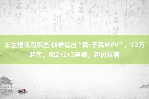 车主建议有哪些 祯祥造出“真·子民MPV”，13万起售，配2+2+3座椅，建树拉满