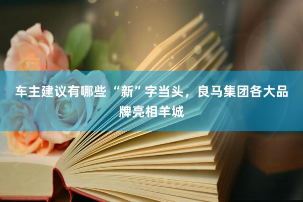 车主建议有哪些 “新”字当头，良马集团各大品牌亮相羊城