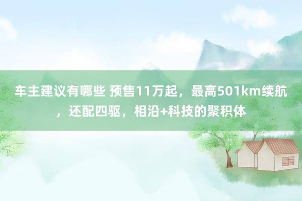 车主建议有哪些 预售11万起，最高501km续航，还配四驱，相沿+科技的聚积体