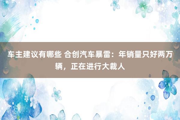 车主建议有哪些 合创汽车暴雷：年销量只好两万辆，正在进行大裁人