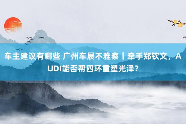 车主建议有哪些 广州车展不雅察丨牵手郑钦文，AUDI能否帮四环重塑光泽？