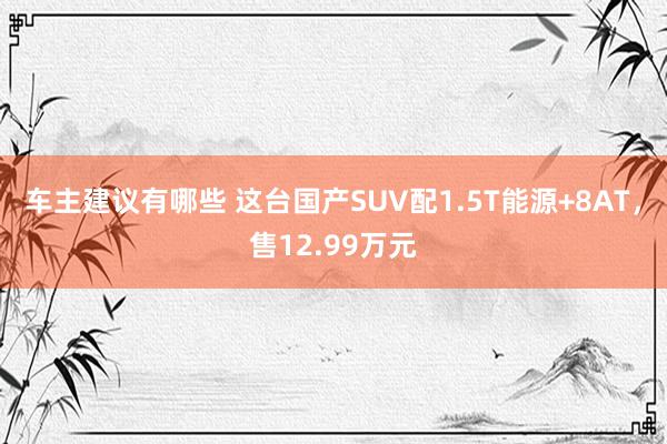 车主建议有哪些 这台国产SUV配1.5T能源+8AT，售12.99万元