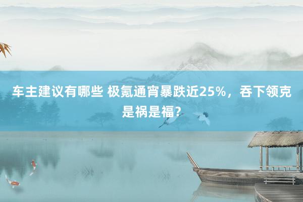 车主建议有哪些 极氪通宵暴跌近25%，吞下领克是祸是福？