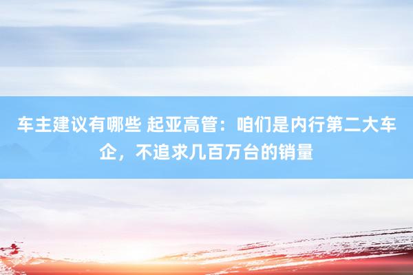 车主建议有哪些 起亚高管：咱们是内行第二大车企，不追求几百万台的销量