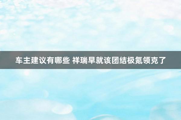 车主建议有哪些 祥瑞早就该团结极氪领克了