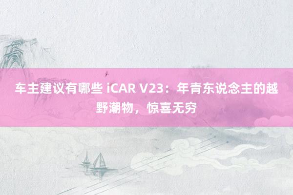 车主建议有哪些 iCAR V23：年青东说念主的越野潮物，惊喜无穷