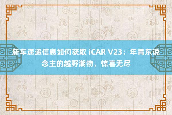 新车速递信息如何获取 iCAR V23：年青东说念主的越野潮物，惊喜无尽