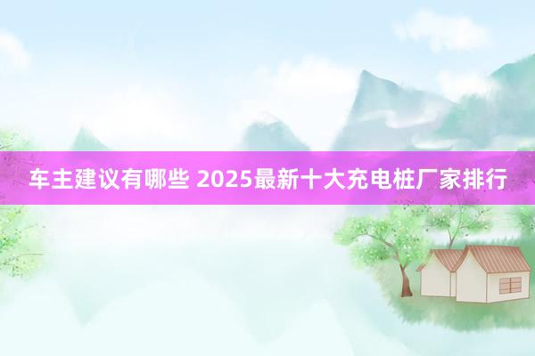 车主建议有哪些 2025最新十大充电桩厂家排行