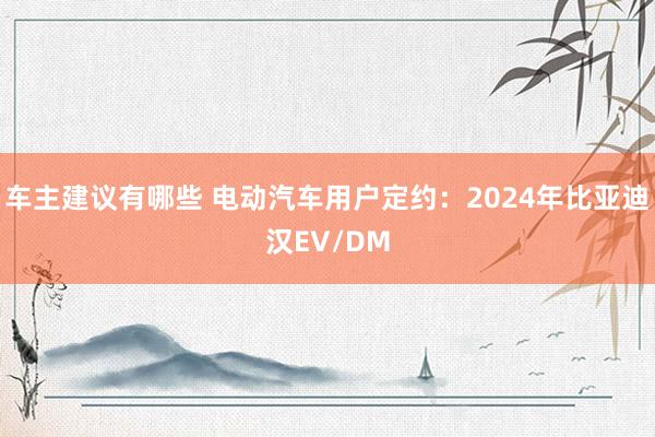 车主建议有哪些 电动汽车用户定约：2024年比亚迪汉EV/DM