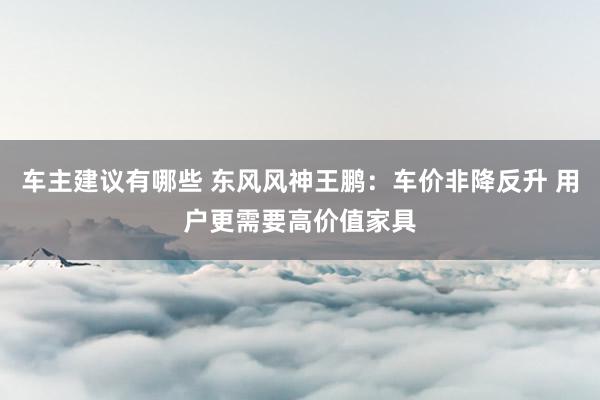 车主建议有哪些 东风风神王鹏：车价非降反升 用户更需要高价值家具