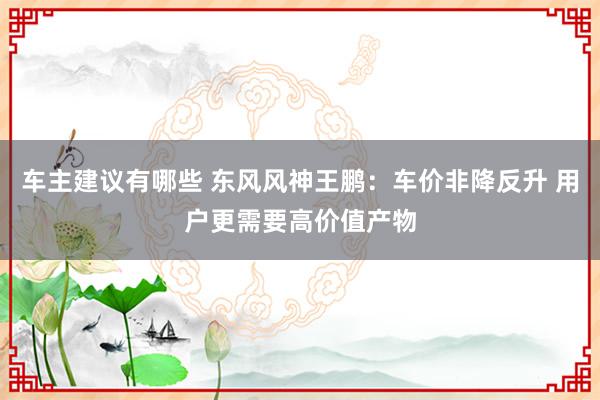 车主建议有哪些 东风风神王鹏：车价非降反升 用户更需要高价值产物