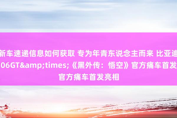 新车速递信息如何获取 专为年青东说念主而来 比亚迪海豹06GT&times;《黑外传：悟空》官方痛车首发亮相