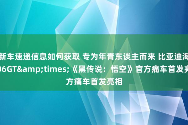 新车速递信息如何获取 专为年青东谈主而来 比亚迪海豹06GT&times;《黑传说：悟空》官方痛车首发亮相