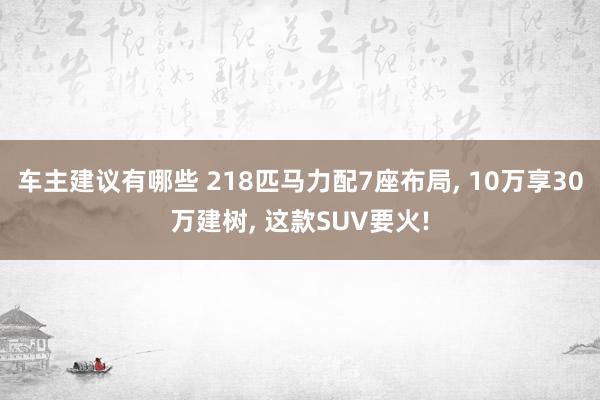 车主建议有哪些 218匹马力配7座布局, 10万享30万建树, 这款SUV要火!