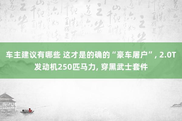 车主建议有哪些 这才是的确的“豪车屠户”, 2.0T发动机250匹马力, 穿黑武士套件