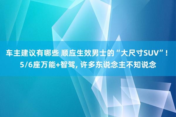 车主建议有哪些 顺应生效男士的“大尺寸SUV”! 5/6座万能+智驾, 许多东说念主不知说念