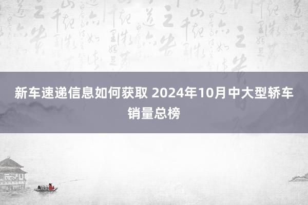 新车速递信息如何获取 2024年10月中大型轿车销量总榜