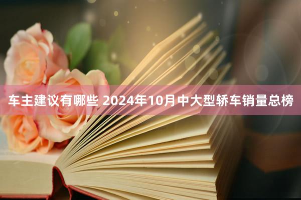 车主建议有哪些 2024年10月中大型轿车销量总榜